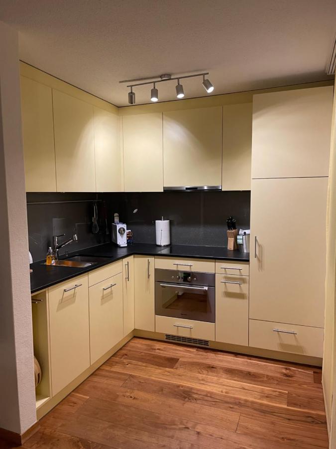 Ferienwohnung Efibach 41 Silenen エクステリア 写真